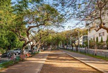 Fototapeta na wymiar Winterl landscape of boulevard Rothschild, the most prestige and luxury area in Tel Aviv.
