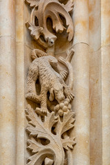 The famous dog carved in stone on the Salamanca Cathedral facade.