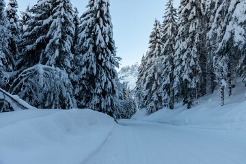 Landscape of Alps mountains in winter