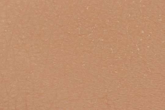 human skin texture macro Photos | Adobe Stock