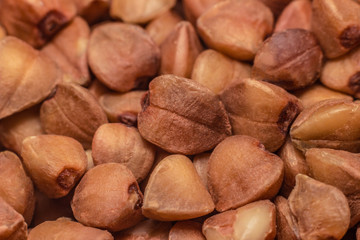 Obraz premium buckwheat groats macro as background