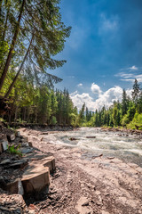 Wild and cold river in Tatras in summer, Slovakia