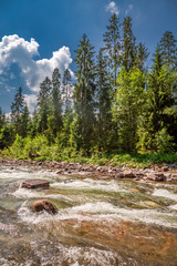 Wild river in Tatras mountains in summer, Slovakia