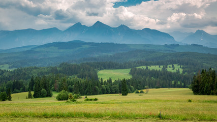 Green meadow and Tatra mountains in summer, Poland