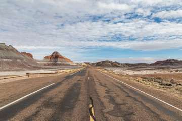 Looking along a road through the Painted Desert, in The Petrified Forest National Park