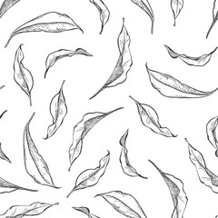 Black and white pencil sketch illustration of leaves. Seamless patter of simple leaves