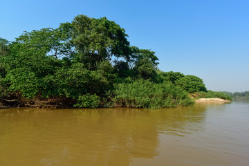 River landscape  and jungle,Pantanal, Brazil
