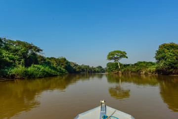 River landscape  and jungle,Pantanal, Brazil