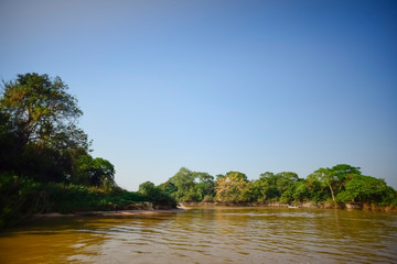 River landscape  and jungle,Pantanal, Brazil