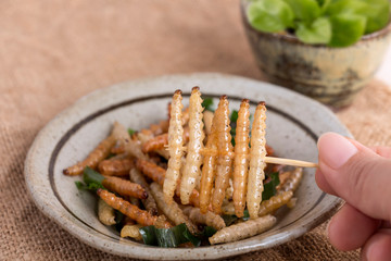 Food Insects: Woman's hand holding Bamboo worm Caterpillar insect fried crispy for eating as food items in plate with vegetable on sackcloth, it is good source of protein edible. Entomophagy concept.