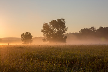 Fototapeta na wymiar Misty Meadow in New England in the summer