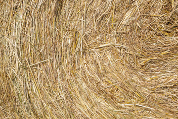 detail of bale of straw