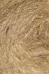 detail of bale of straw