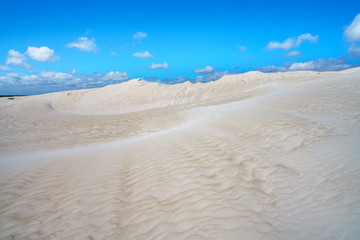 white lancelin sand dunes, western australia 9