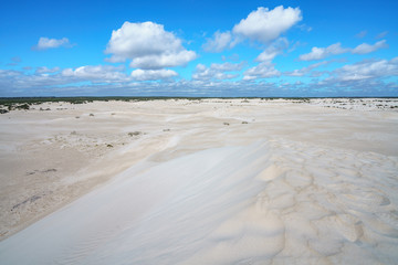 white lancelin sand dunes, western australia 14