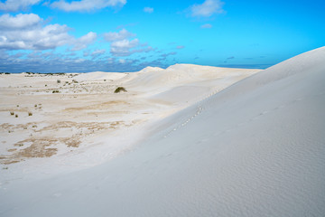 white lancelin sand dunes, western australia 24