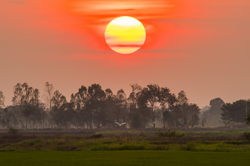 Beautiful sunsets in the countryside.31