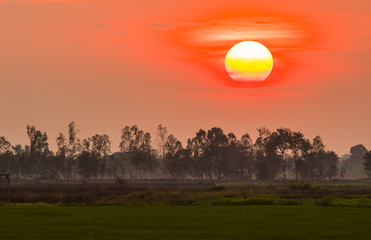 Beautiful sunsets in the countryside.29