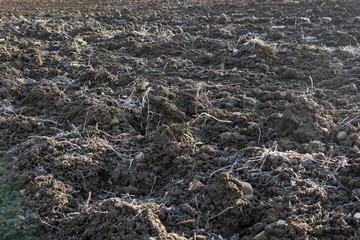 Agricultural land in the winter. Fallow. Processed soil awaits sowing in the spring.