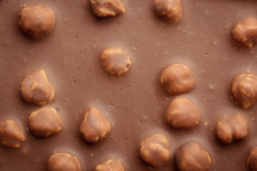Close-up photo of bar of chocolate with many hazelnuts