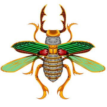 vector illustration of stag-beetle