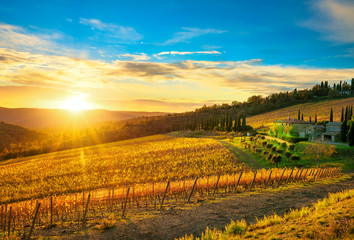 Naklejka premium Radda in Chianti vineyard and panorama at sunset. Tuscany, Italy
