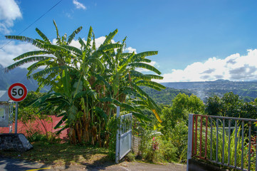 La Reunion / Frankreich