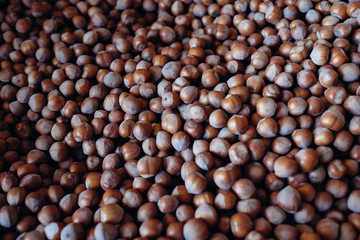 Fresh organic food. Hazelnuts