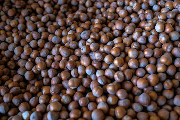 Fresh organic food. Hazelnuts