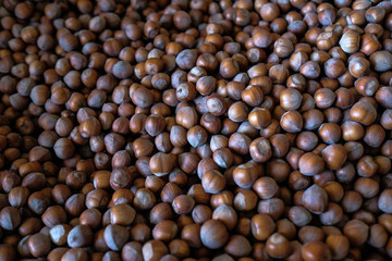 Fresh organic food. Hazelnuts