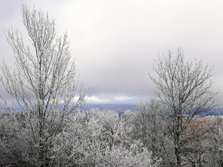 bella immagine della natura ghiacciata