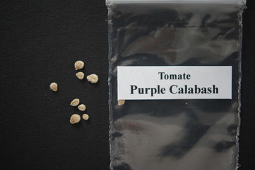 Tomate,Tomato,Samen,Seeds,Purple Calabash