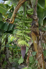 La Reunion / Frankreich
