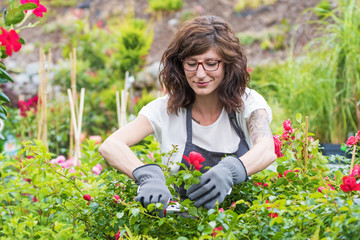 Lächelnde Gärtnerin beim schneiden der Rosen
