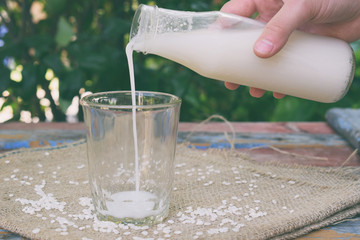 Rice milk in bottle, with rice grains. Alternative type of milks. Vegan non-dairy milk. Lactose-Free Milk and Nondairy Beverages. Lactose intolerance. Healthy food