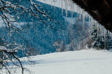 Long bright transparent icicles in the sunset light, hanging from wooden roof.  Selective focus. Snow mountain and trees in the backdrop