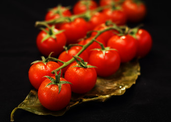cocktail tomatoes on a twig