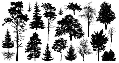 Set of a variety of forest trees. Isolated on white background. Collection of silhouette vector illustration