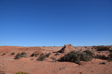 Halbwüste im Ischigualasto Naturpark/Argentinien