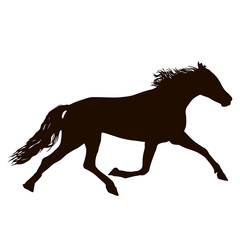 Animal silhouette of black mustang horse illustration
