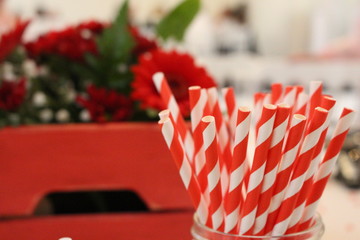 A photograph of red and white paper straws, with a crate of red and green flowers in the background. Wedding or party table decor.