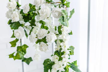 Roses on a white background