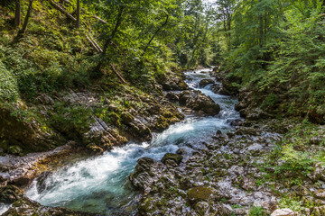 Gole del Vintgar, Slovenia