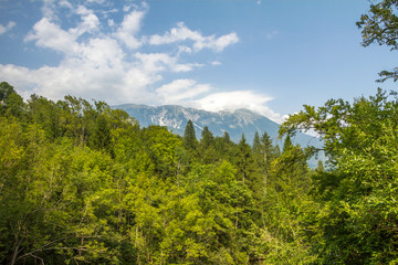 Gole del Vintgar, Slovenia