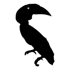Silhouette of the bird toucan on a white background