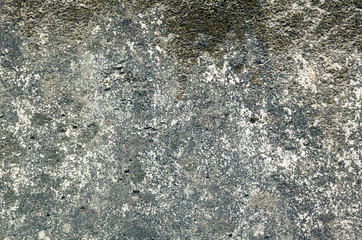 mildewed wall background