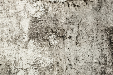 Obraz premium mildewed wall background