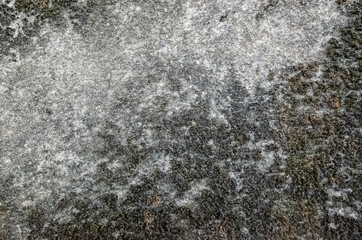 mildewed wall background