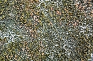 mildewed wall background