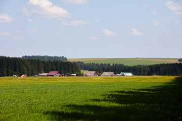 Russia. View of the village. Summer rural landscape with houses
